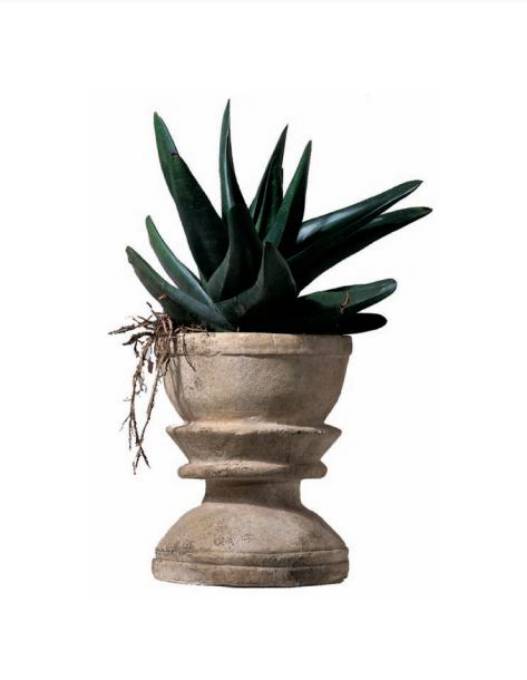 Picture of TALL MORTAR