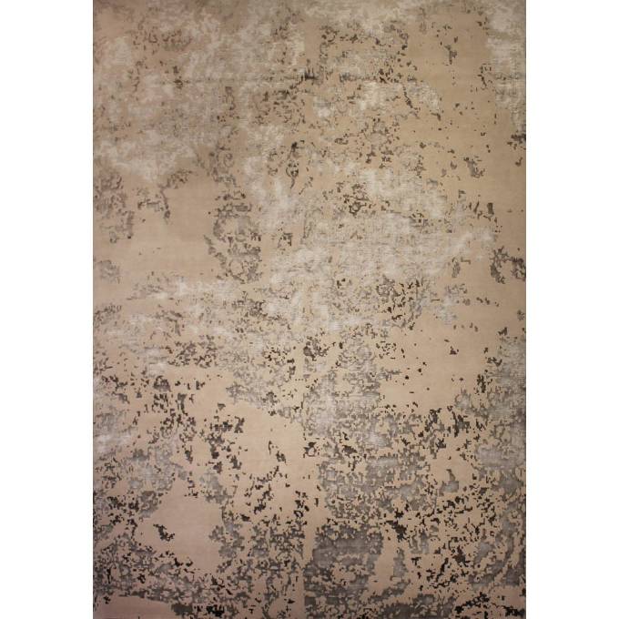 Picture of DOLPHOT I