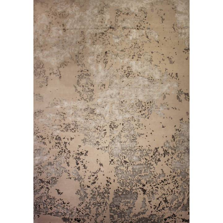 Picture of DOLPHOT I