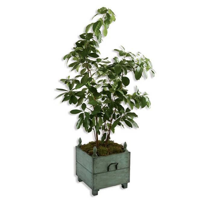 Picture of VERSAILLES JARDINIERE