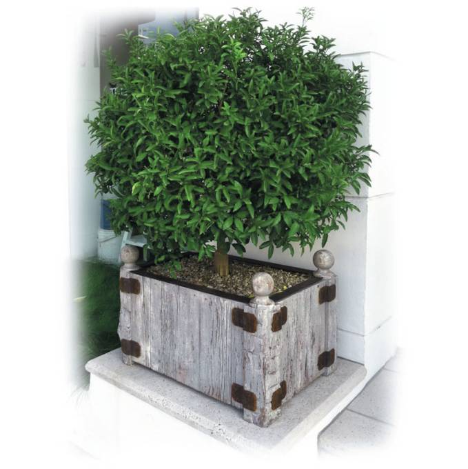 Picture of BRATTLEBORO OUTDOOR PLANTER