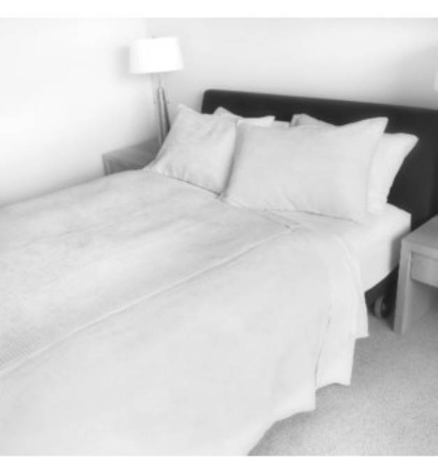 Picture of Shelburne - Ivory - Coverlets