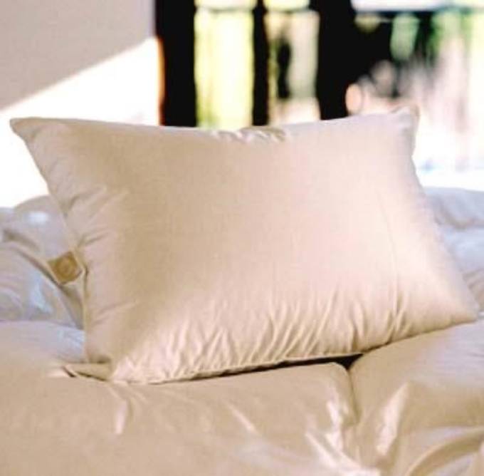 Picture of Microgel Pillow Inserts