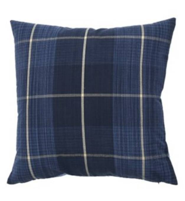 Picture of Conway - Indigo -  Pillow - 22" x 22"