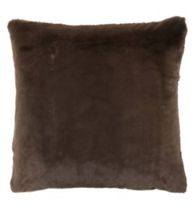 Picture of Eureka - Bear -  Pillow - 22" x 22"