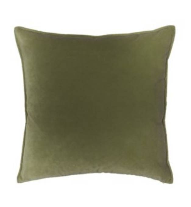 Picture of Franklin Velvet - Lichen -  Pillow - 22" x 22"
