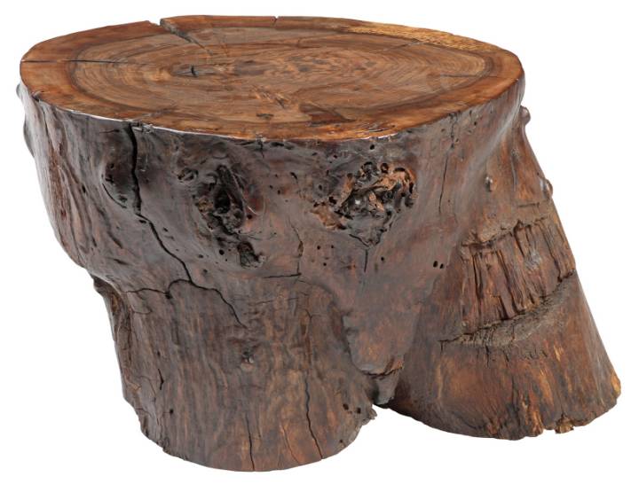 Picture of SUMO ROOT TABLE