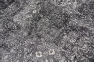Picture of PANACHE(PN6971)