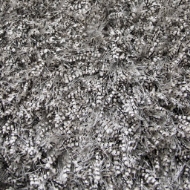Picture of URBAN DAZZLE(UR344A)