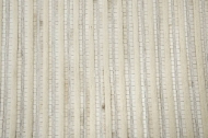 Picture of WILD THING(WDT105)