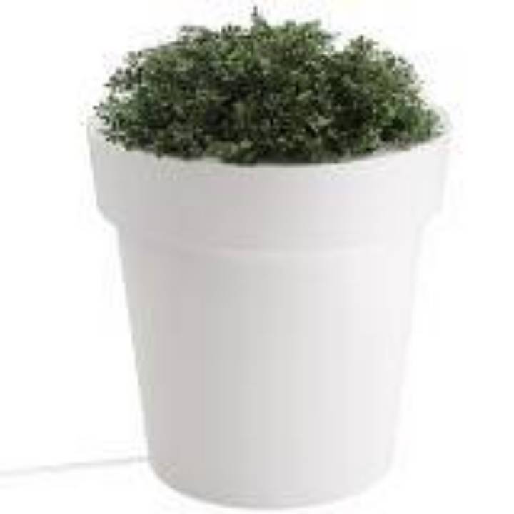 Picture of PLANTER, LIGHTED, XLARGE, TERRA