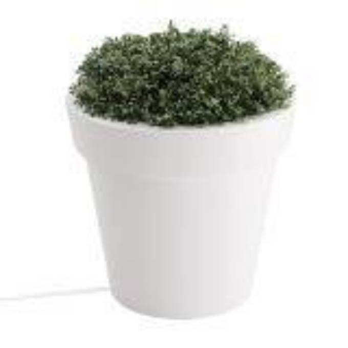 Picture of PLANTER, SMALL, LIGHTED, TERA