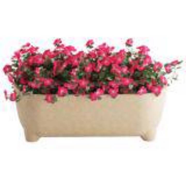 Picture of GARDEN PLANTER (BLOOM)