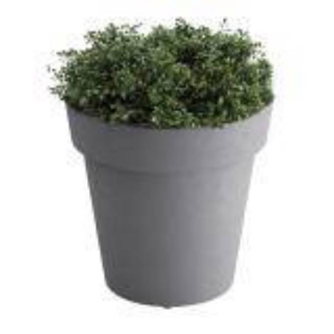 Picture of PLANTER, SMALL, TERA