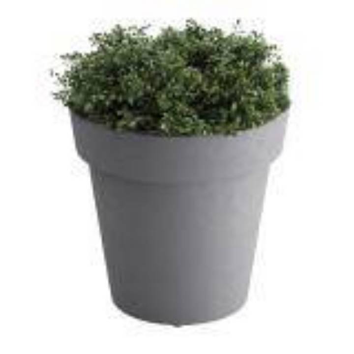 Picture of PLANTER, SMALL, TERA