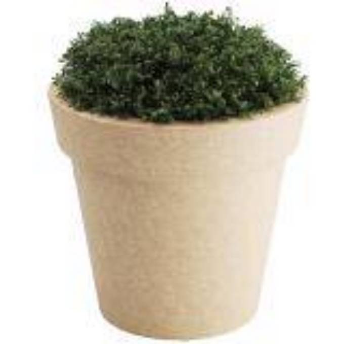 Picture of PLANTER, XLARGE, TERA