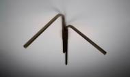 Picture of BRANCH SCONCE