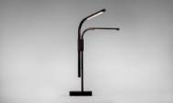 Picture of BRANCH TABLE LAMP