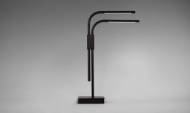 Picture of BRANCH TABLE LAMP