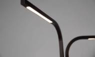 Picture of BRANCH TABLE LAMP