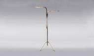 Picture of BRANCH FLOOR LAMP