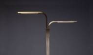 Picture of BRANCH FLOOR LAMP
