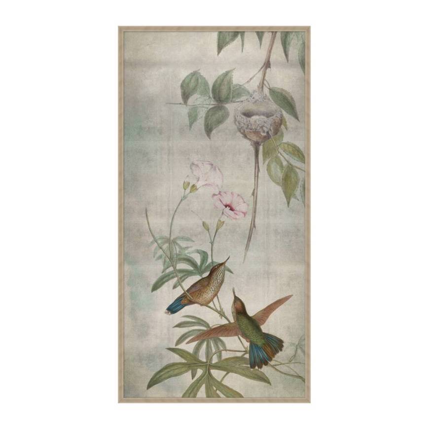 Picture of HUMMINGBIRD DANCES 3