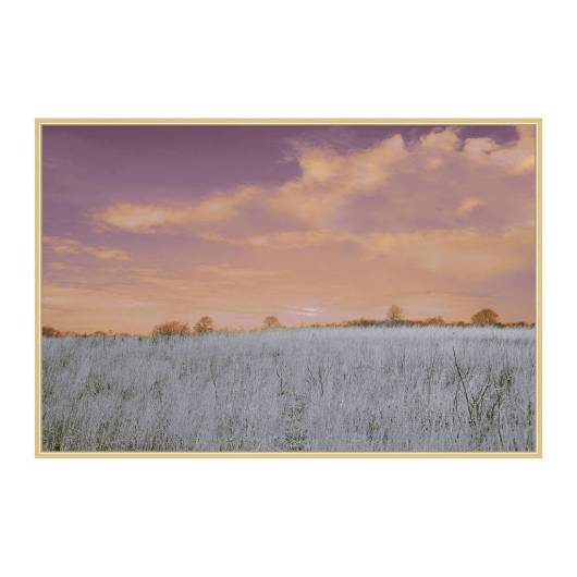 Picture of BENEATH SETTING SKIES