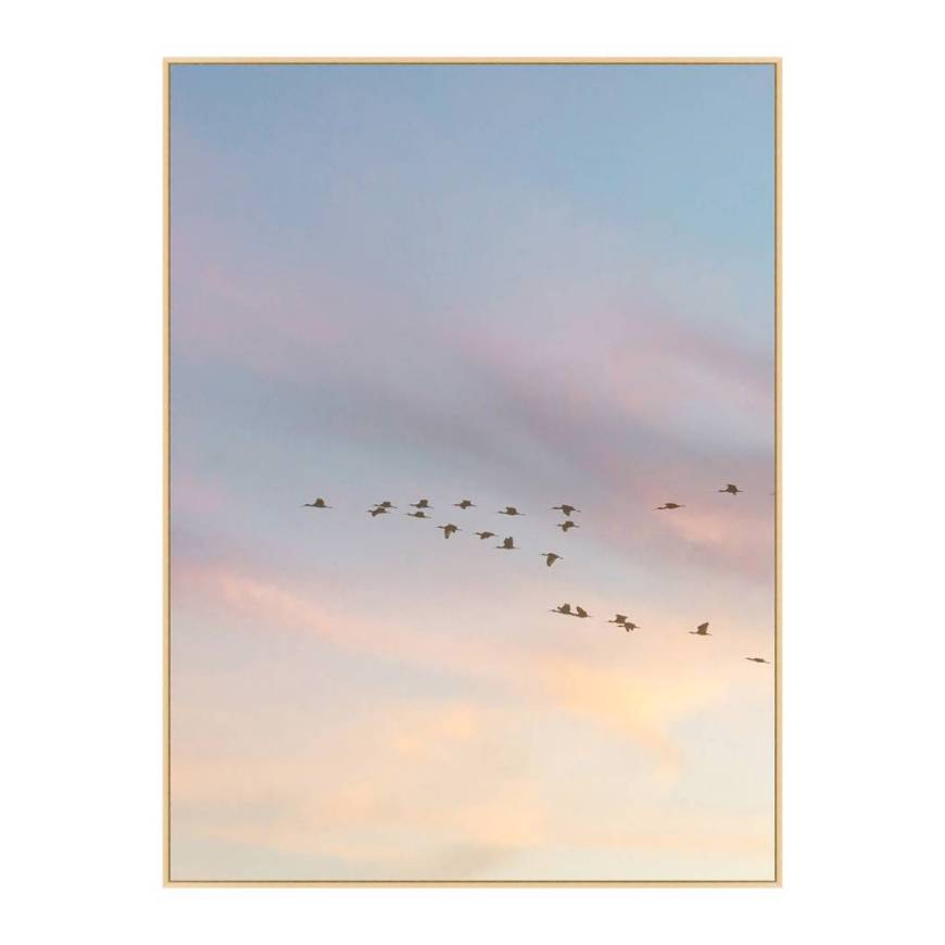 Picture of SUNSET FLOCK 1