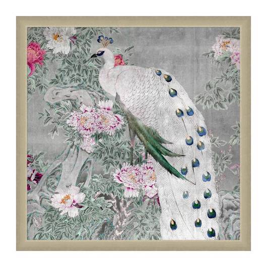 Picture of SILVER PEACOCK