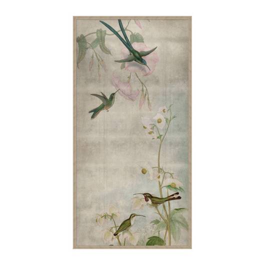 Picture of HUMMINGBIRD DANCES 1