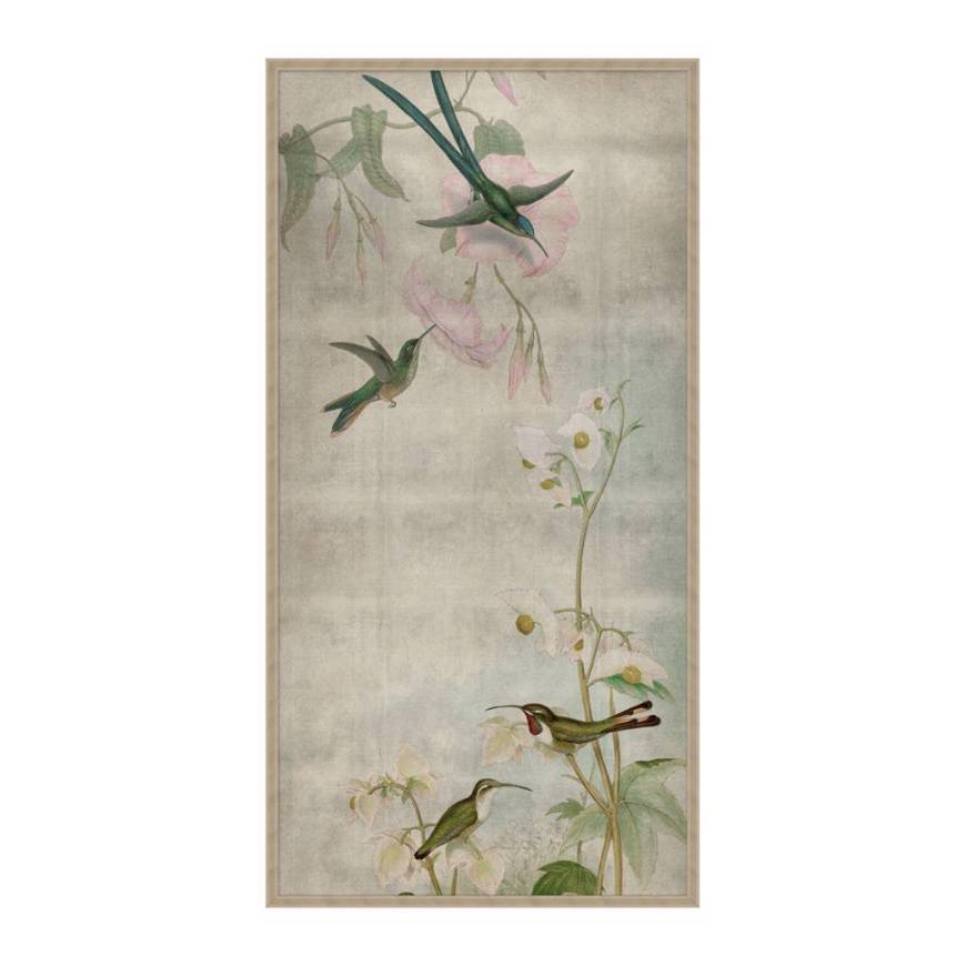 Picture of HUMMINGBIRD DANCES 1