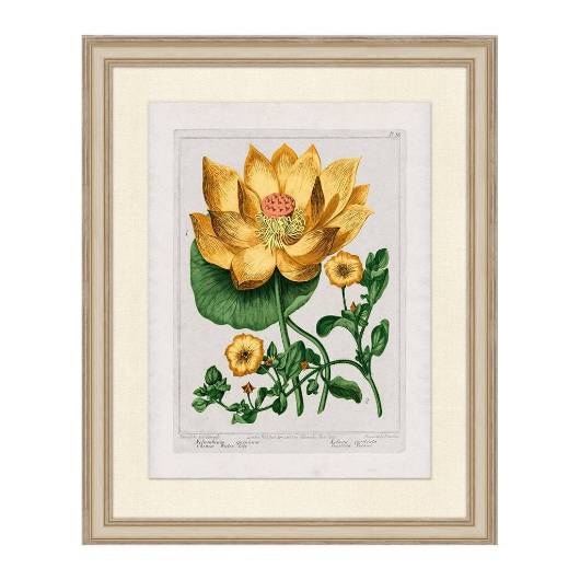 Picture of SUNDANCE FLORAL 2