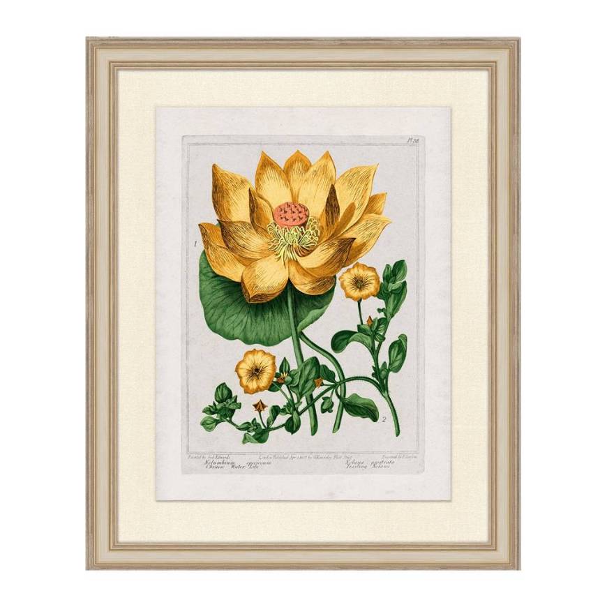 Picture of SUNDANCE FLORAL 2