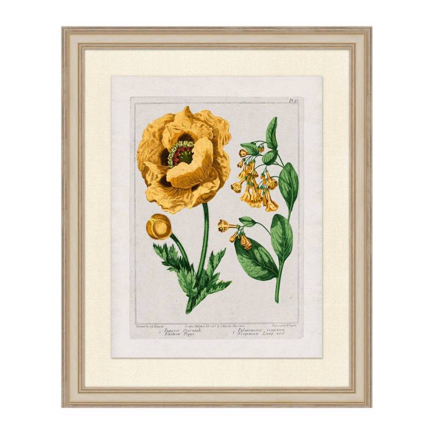 Picture of SUNDANCE FLORAL 1