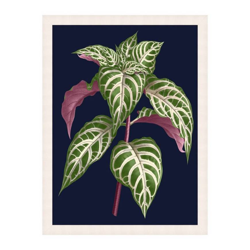 Picture of BOTANY ON BLUE 2