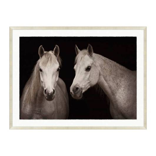 Picture of STABLE SHADOWS