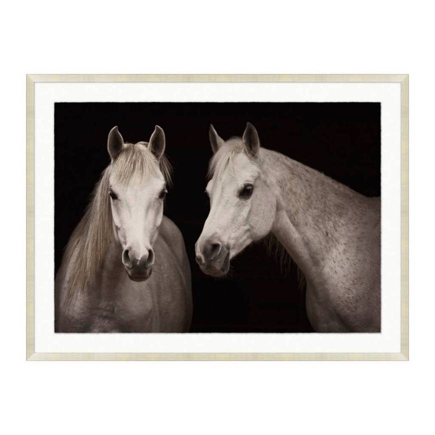 Picture of STABLE SHADOWS