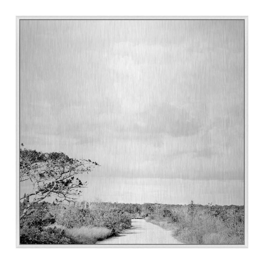 Picture of BEACH TREE TRAIL