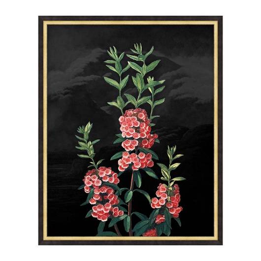 Picture of POETIC BOTANICALS 5