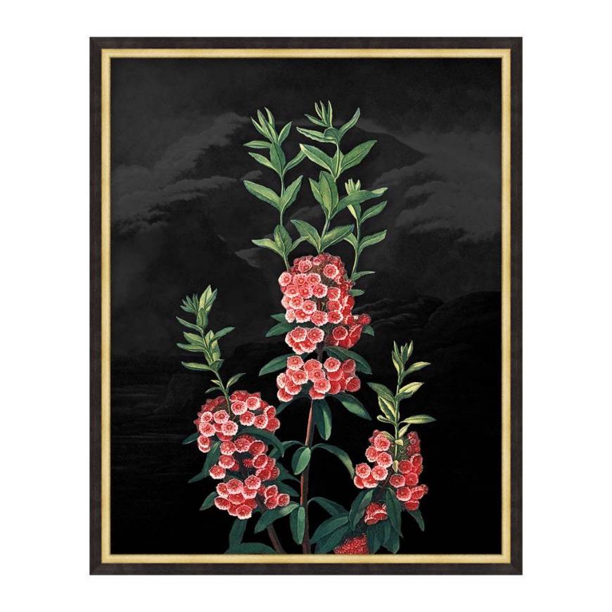 Picture of POETIC BOTANICALS 5