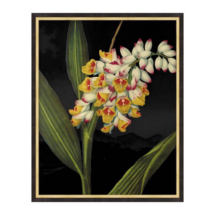 Picture of POETIC BOTANICALS 6