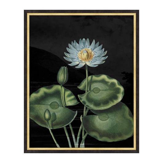 Picture of POETIC BOTANICALS 2