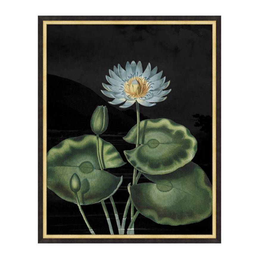 Picture of POETIC BOTANICALS 2