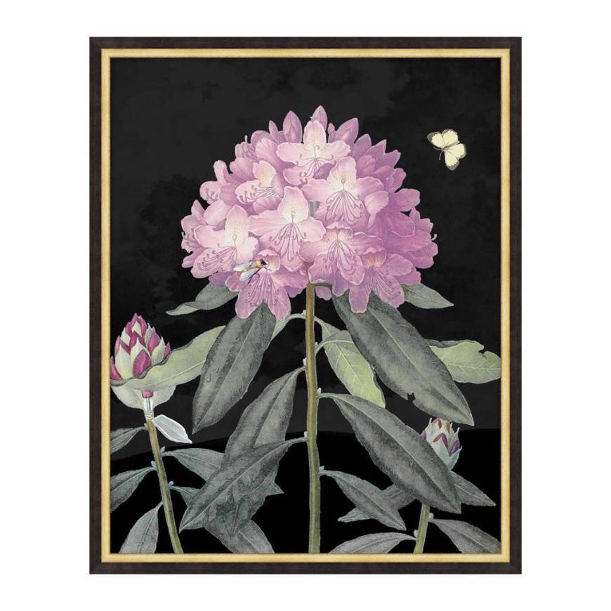 Picture of POETIC BOTANICALS 1