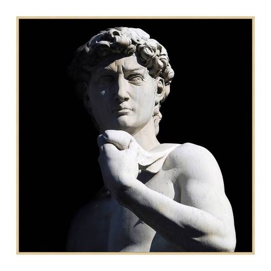 Picture of DAVID