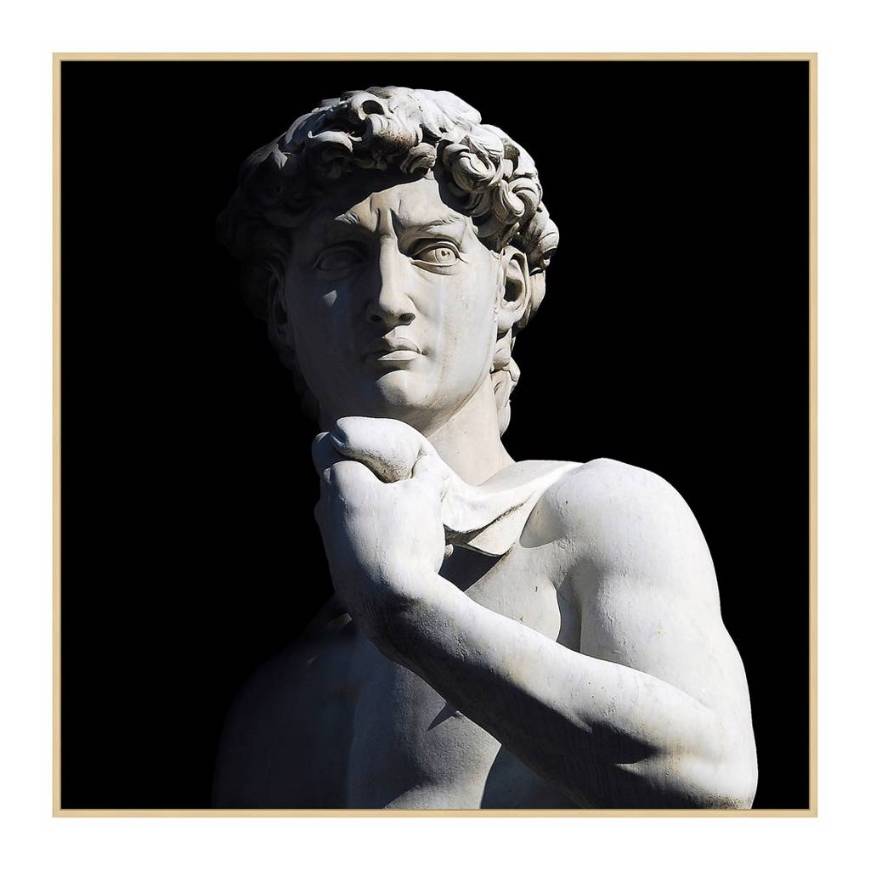 Picture of DAVID