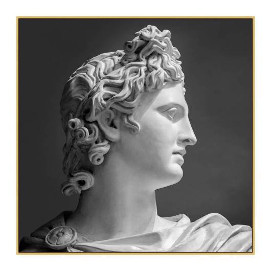 Picture of GRAND APOLLO