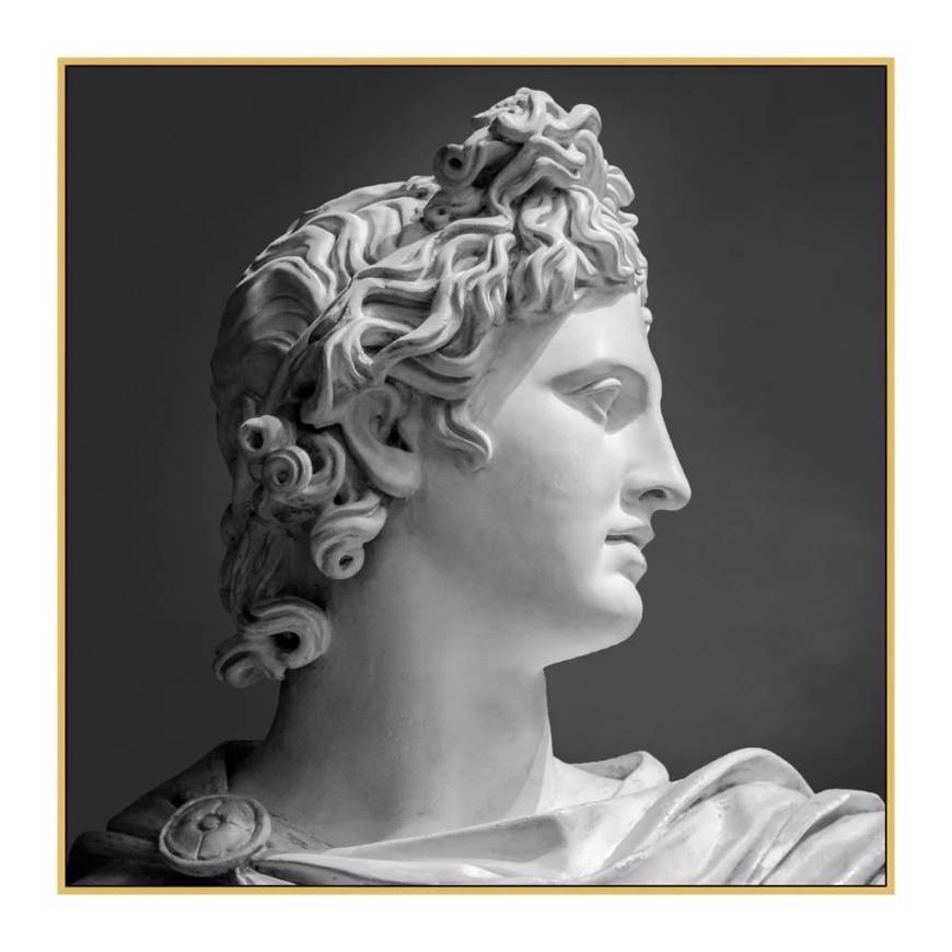 Picture of GRAND APOLLO