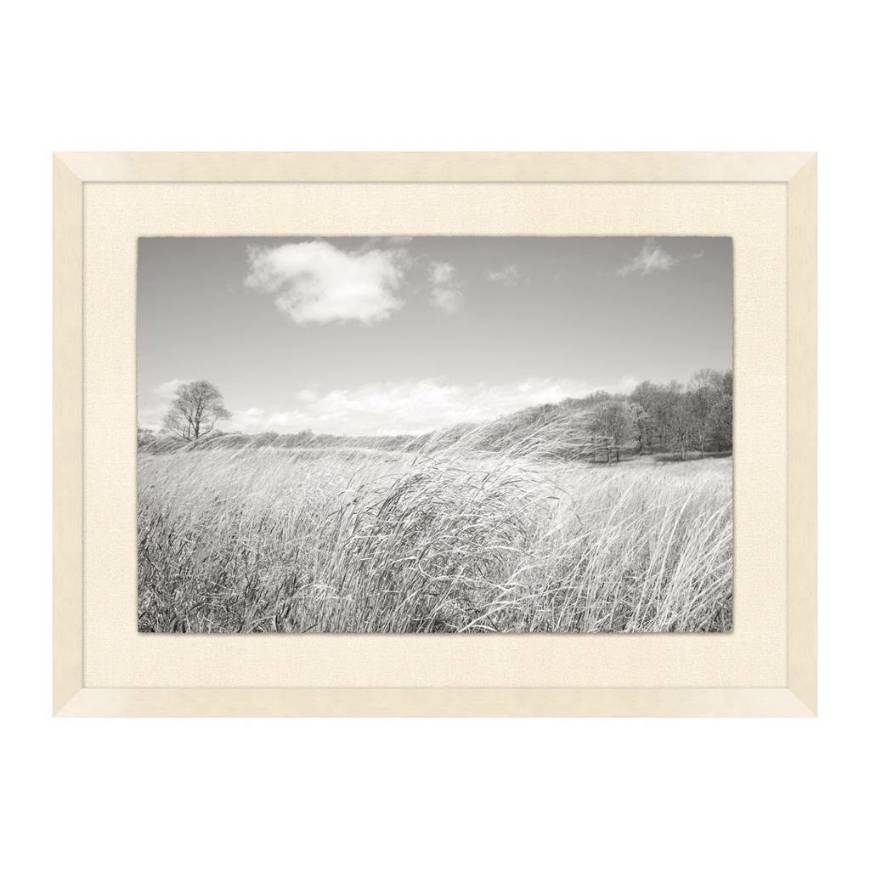 Picture of WINDY GRASSES